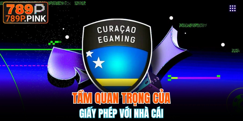 Giấy phép hoạt động 789P đóng vai trò vô cùng quan trọng 