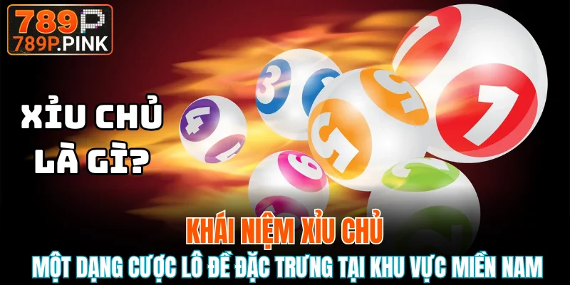 Khái niệm xỉu chủ