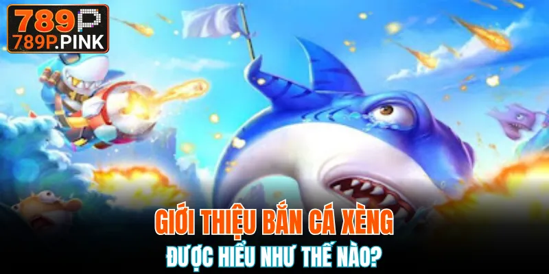 Khái quát chung về săn cá xèng nổi bật