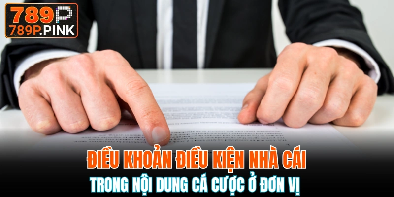 Nội dung cá cược cần tuân thủ theo quy định nào của đơn vị 
