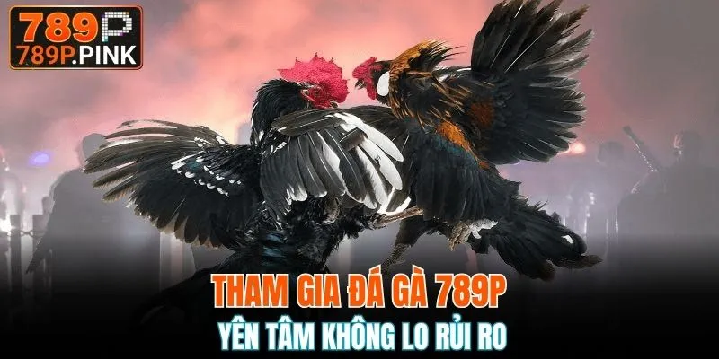 Tham gia đá gà 789P yên tâm không lo rủi ro