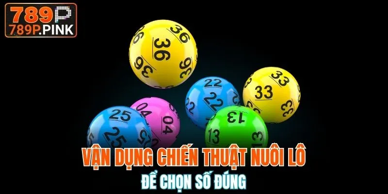 Vận dụng chiến thuật nuôi lô hợp lý để chọn số đúng